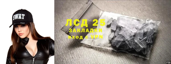 шишки Баксан