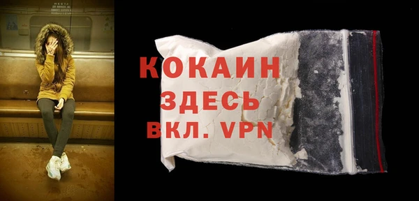 шишки Баксан