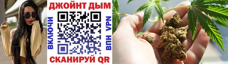 Канабис OG Kush Юхнов